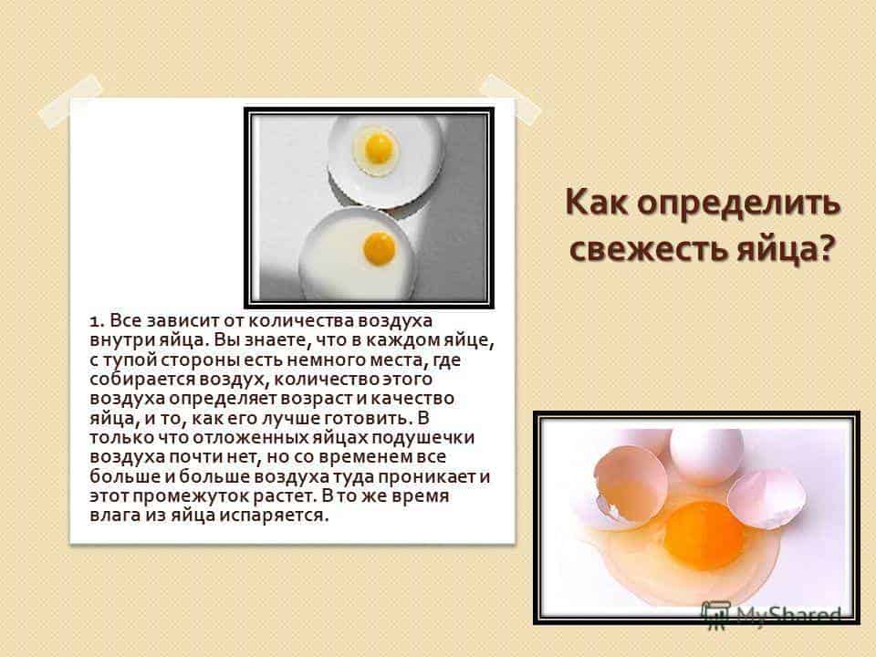 От чего зависит цвет и размер куриного яйца, почему яйцо может пахнуть