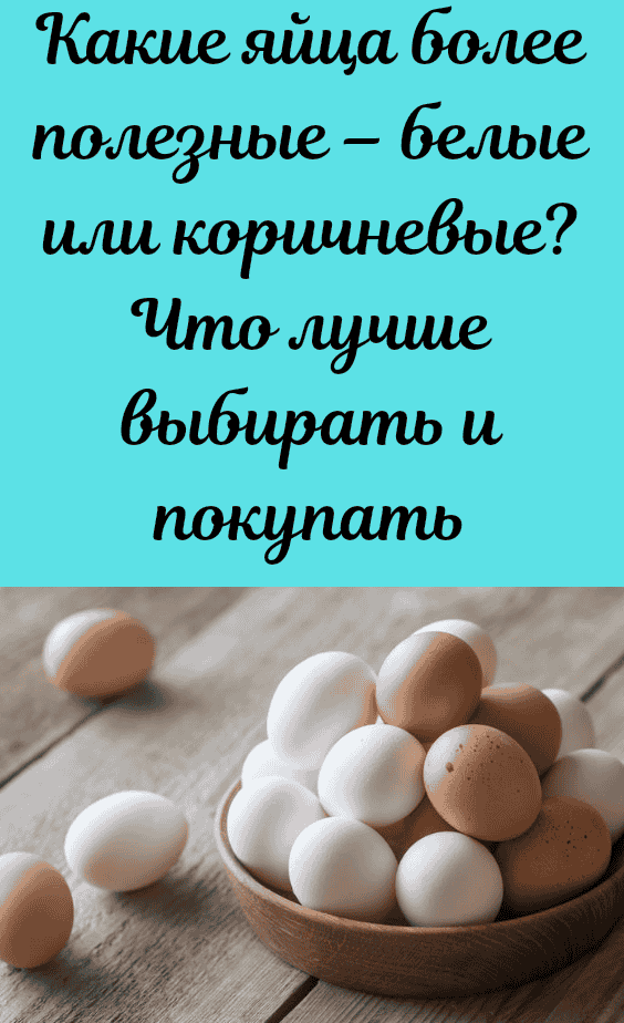 Цвет желтка и скорлупы у куриных яиц от чего зависит?