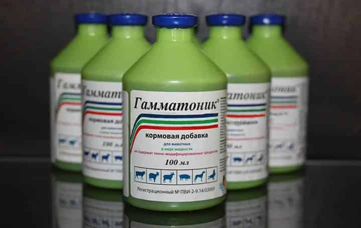 «Гамматоник»: инструкция и показания к применению