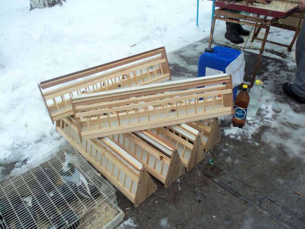 Как сделать кормушку и поилку для голубей своими руками?