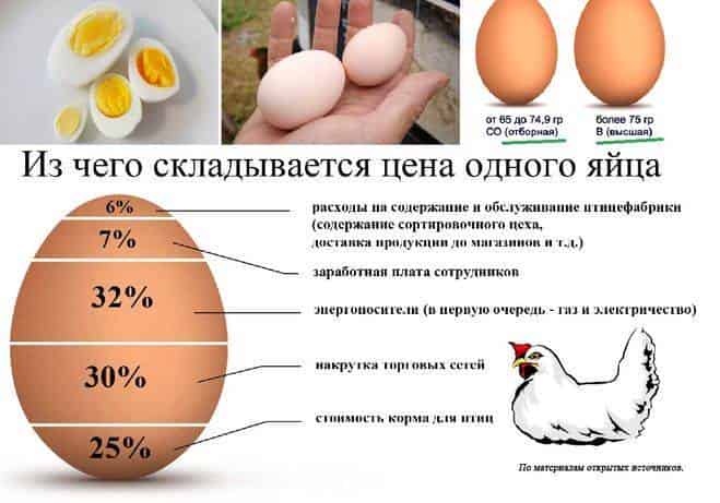Тонкая скорлупа у куриных яиц и другие проблемы яйцекладки