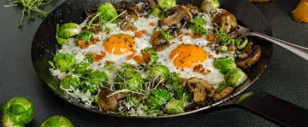 От чего зависит цвет скорлупы куриного яйца?