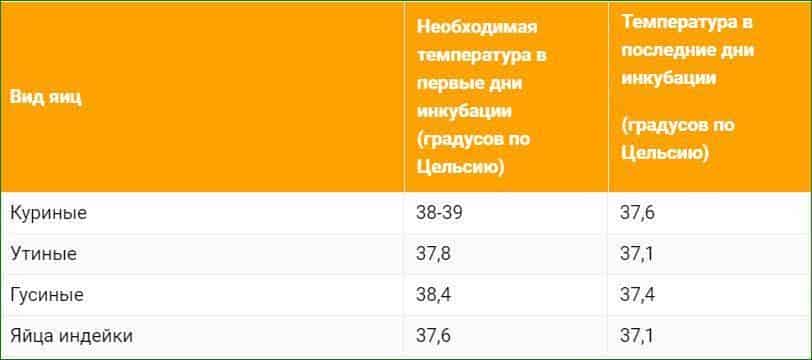 Инкубатор своими руками