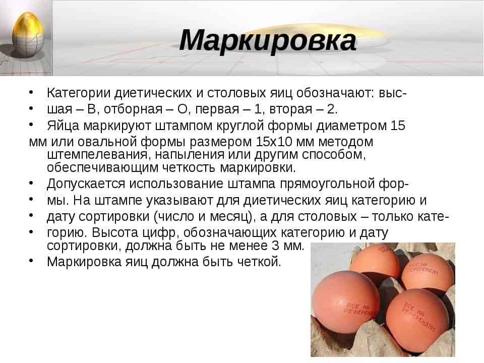 Яйца с тонкой скорлупой – как узнать причину проблемы и устранить ее?