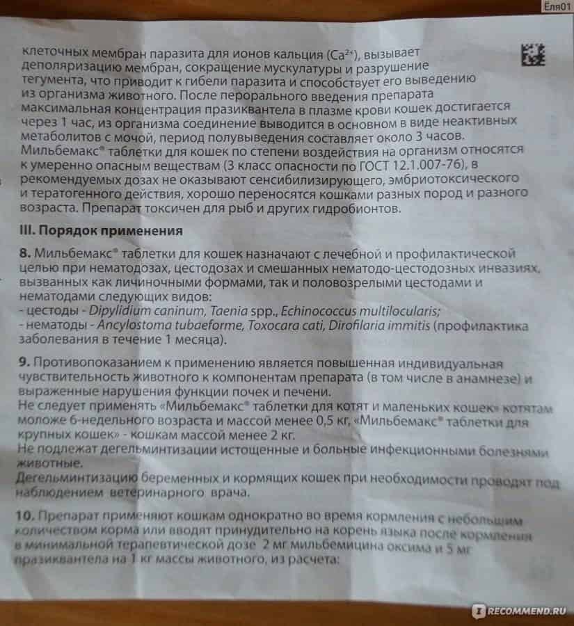 Что такое гамматоник: инструкция по применению препарата для цыплят бройлеров или несушек в ветеринарии, его дозировка и отзывы об этом