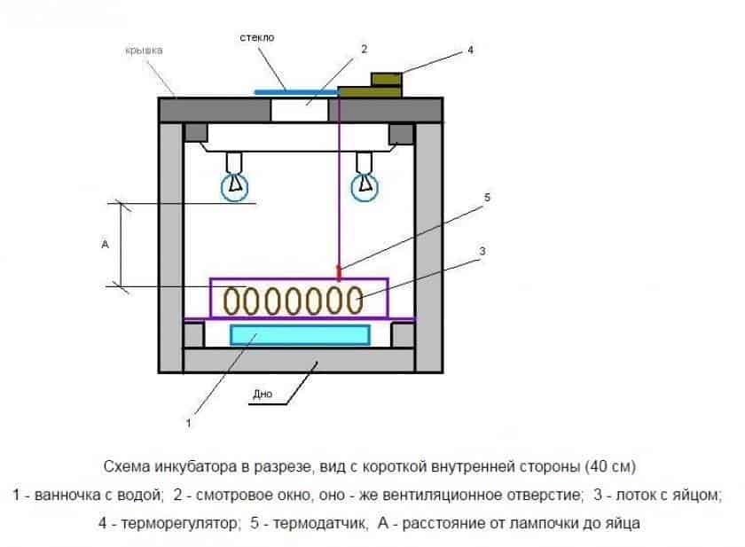 Инкубатор своими руками